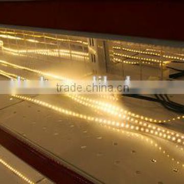 Best Led Lighting Factory In Ruian 12V/24V Led Strip Light SMD 5050