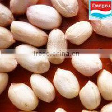 organic groundnut / peanut kernels