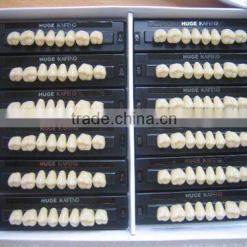 dental artificial teeth