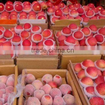 Red Fuji Apple Shandong