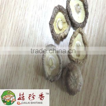 2-3 cm small size white flower shiitake mushroom dried 1-5kg/bag