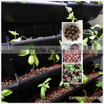 Garden Expanded clay pebbles as growimg medium for Hydro-culture