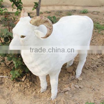 Realistic Taxidermy Replica life sized plastic animals sheep