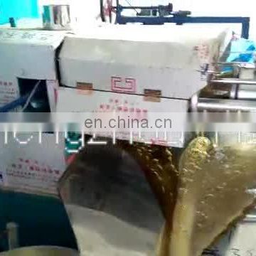 Professional Small Peanut Palm Cold Oil Press Extraction Machine