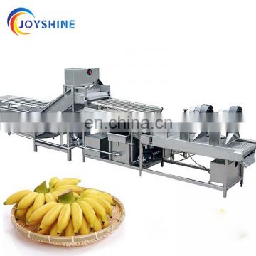 input 1000kg bananas plantain chips drying machine/machines to manufacture plantain chips