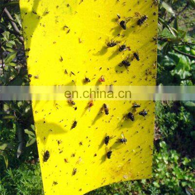 Double Sided Sticky Fly Trap Kill Fruit Flies+ Killer OEM Professional High Quality Low Price Yellow Insect 2 Years 25CM*40CM