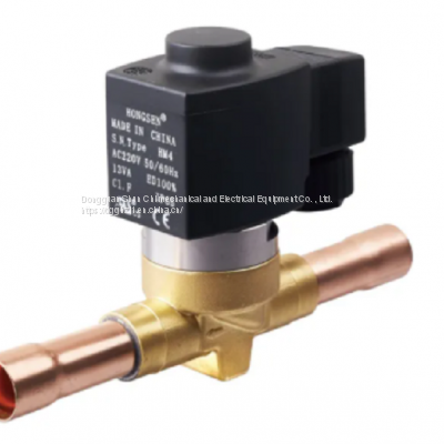 HongSen DHV type Electric piston valve DHV(F)25-9、DHV(F)32-11、DHV(F)40-13、DHV(F)50-17、DHV(F)65-24、DHV(F)80-28