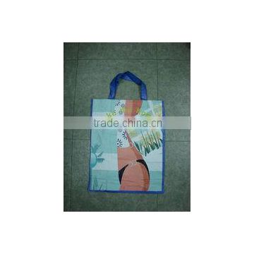 New style shopping bag for shopping
