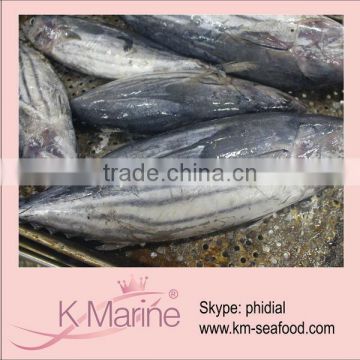 Frozen Skipjack Fish Raw Materials lot number#kmw4035