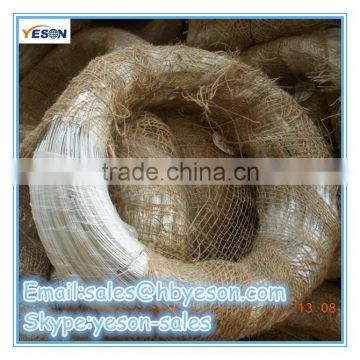 HOT SALE common nails wire / common iron nail / common wire nail