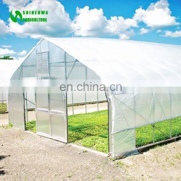 Top Quality Tunnel Plastic Greenhouse Film Agriculture