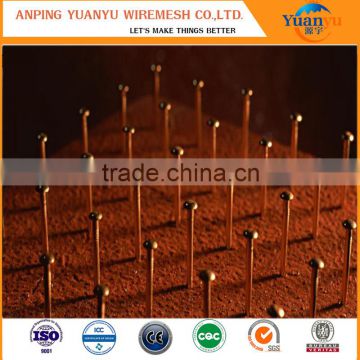 High Quality Zinc Plated Flat Head Nail, Common Nail, Common Wire Nail