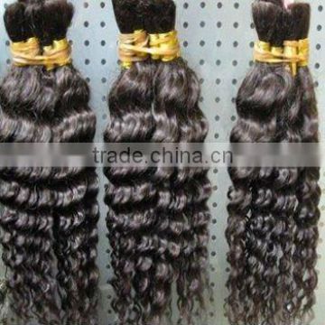 Hot Sale Indian Wet Wavy Hair Bulk/100% Human Curly Hair Bulk