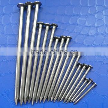 common wire iron nail for Africa market