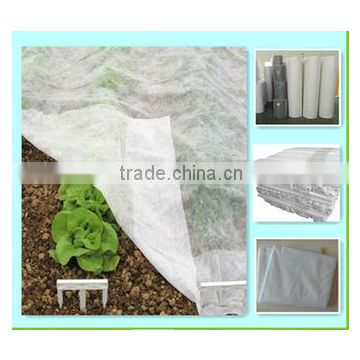 Guangzhou Junyu factory PP Spunbonded Nonwoven Fabric For Agriculture