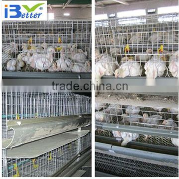 2013 hot-sell H type hen house