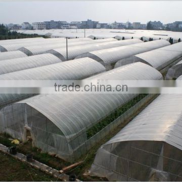 New style agricultural greenhouse for grawing vegetables