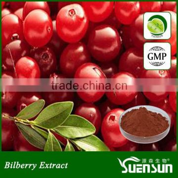 100% natural cranberry extract powder 25% anthocyanin
