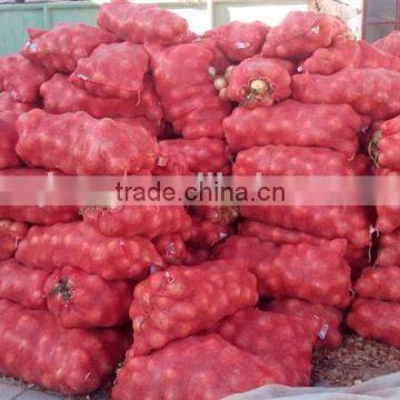 fresh yellow onion container for wholesales