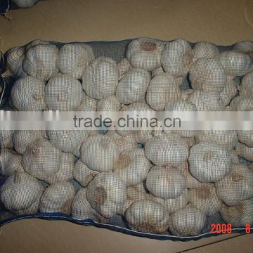 chinese fresh garlic(mesh bag)