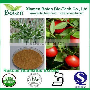 100% Natural best quality Ruscus Aculeatus P.E.