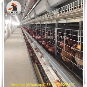 Gambia Poultry Farm Battery Chicken Cage & Layer Cage & Chicken Coop & Laying Hen Cage in Chicken House