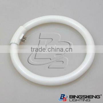 T8 Circle Fluorescent Tube 110V/240V G10q with CE ROHS 8000hours