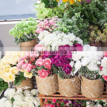 Reliable large size plastic flower pot Short stem flower with display box made in Japan