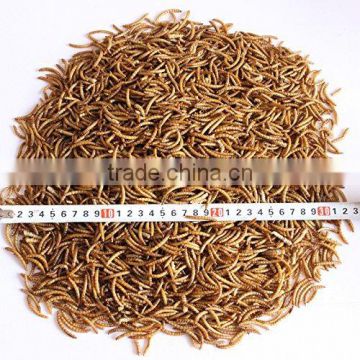 Vitamin Dried Mealworms Treats for Chicken
