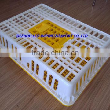 plastic chicken broiler cage for 15 broiler chickens crate