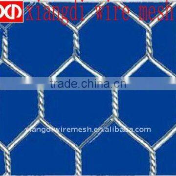 =stainless steel chicken wire mesh(manufactory)