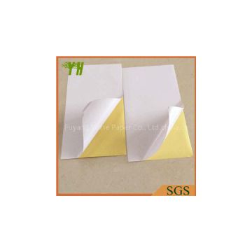Cast Coated Self Adhesive Paper