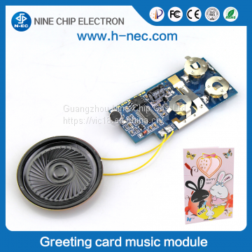 Programmable voice chip greeting card sound module