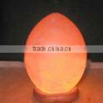 Egg Shaped Lamp High Quality And Design Peerless