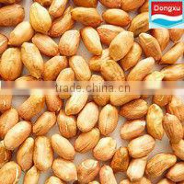 raw peanuts kernels
