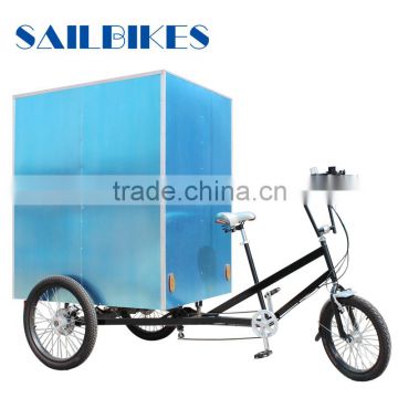professional designed carrier bike