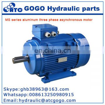 12v 500w dc motor specifications MS series