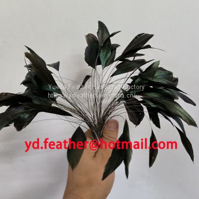 Stripped Black Rooster/Coque/Cock Tail For Wholesale From China