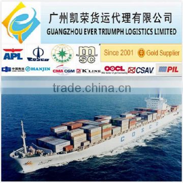 Sea Freight from China to Valencia, Spain FCL/LCL Shipment