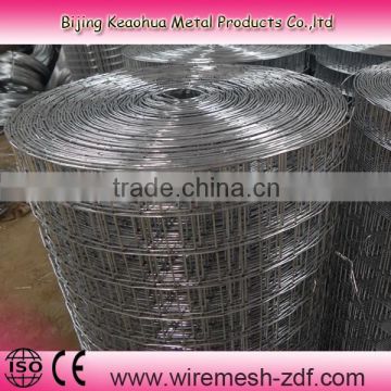 Factory Price 1/4'' welded wire mesh