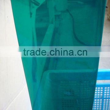 PVC Material PVC Welding Screen/Sheet/Curtain Roll