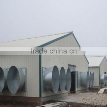 china popular and good quality egg chicken house design for layers