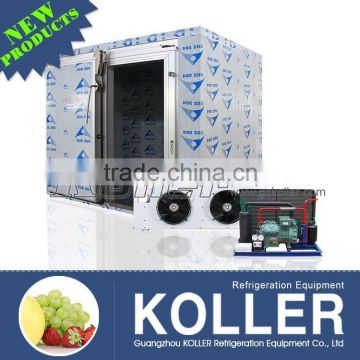 Koller commercial freezer 9 tons cold storage room with evaporative coolers for frozen beef VCR30