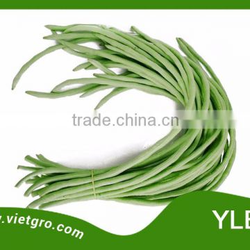 High Yield OP Yard Long Bean Seed - YLB.1