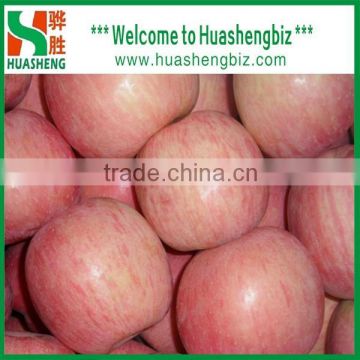 Chinese New Year Fresh Fuji Apple from factory