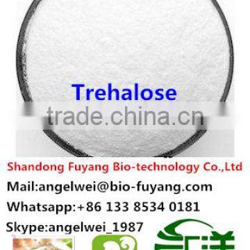 The biggest manufacture in China for Trehalose