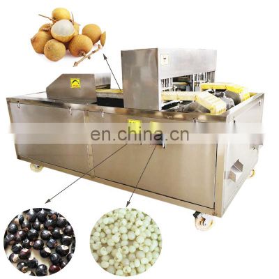 Fruit Peach Apricot Cherry Apple Olive Pitter Machine For Sale
