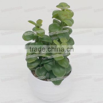 High simulation Eco friendly plastic material cheap artificial plants
