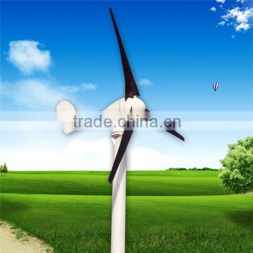 100w wind turbine