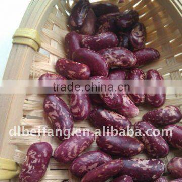 Red Speckled Kidney Bean( 2011 crop, Heilongjiang Origin, Hps)